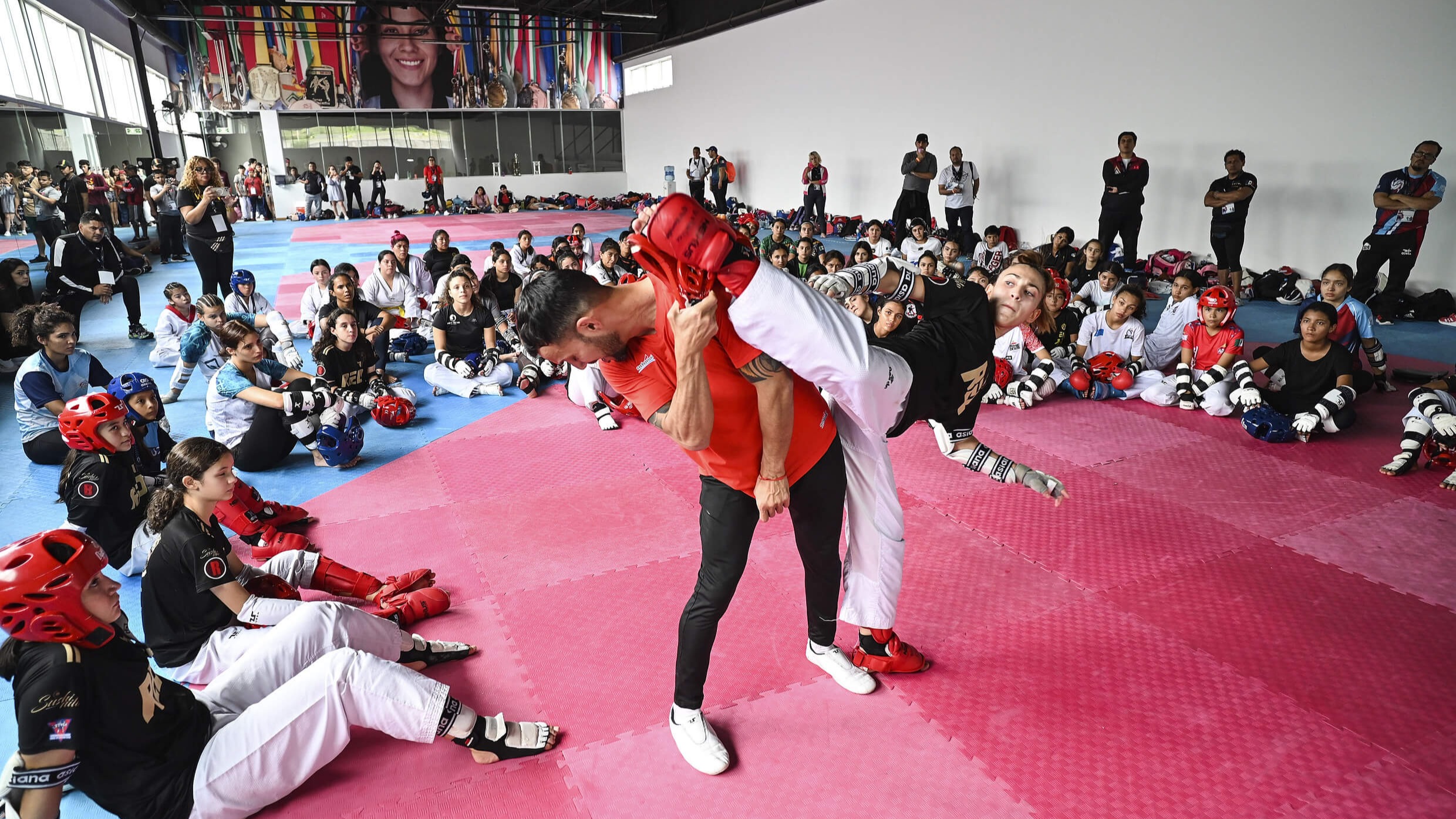 Taekwondo